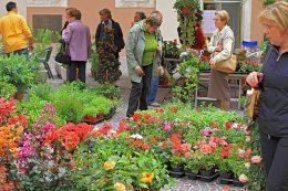 tagliacozzo in fiore mostra mercato (14)