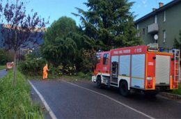 alberi caduti vento vigili del fuoco