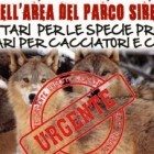 petizione parco sirente Velino