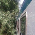 albero treno