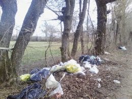 Discariche abusive eternit rifiuti pericolosi amianto (2)