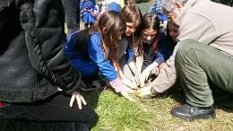 Festa degli alberi Tagliacozzo scuole piante (2)