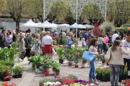 fiera del 25 aprile ad Avezzano (7)