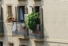 cannabis canapa indiana sul balcone marijuana