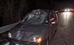 Incidente cavallo investito  tiburtina