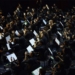 L'Orchestra Frets in un concerto con Stef Burns
