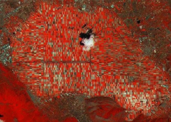 I campi coltivati del Fucino visti con gli occhi di Sentinel-2A (fonte: Copernicus Sentinel)