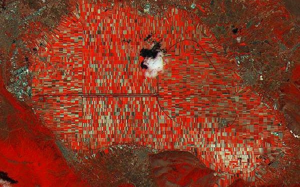 I campi coltivati del Fucino visti con gli occhi di Sentinel-2A (fonte: Copernicus Sentinel)