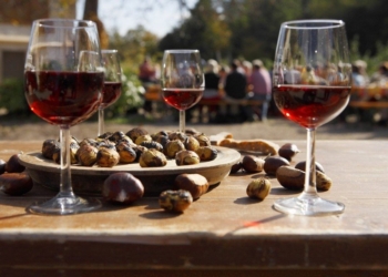 Sdtirol, Herbst 2008,
Kastanien, Kastanientage, Keschtnriggl,
fr Tourismusverein Lana und Umgebung,

Foto: Frieder Blickle