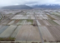 Video di Flydrone service di Fabio Oddi, servizi per l'agricoltura