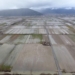 Video di Flydrone service di Fabio Oddi, servizi per l'agricoltura