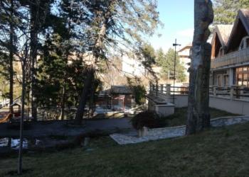 Albero caduto ovindoli