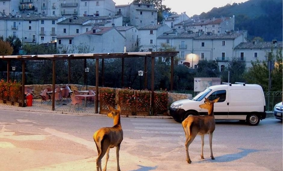 Civitella Alfedena Comune Simbolo Di Ripartenza, Tre Dichiarazioni D ...