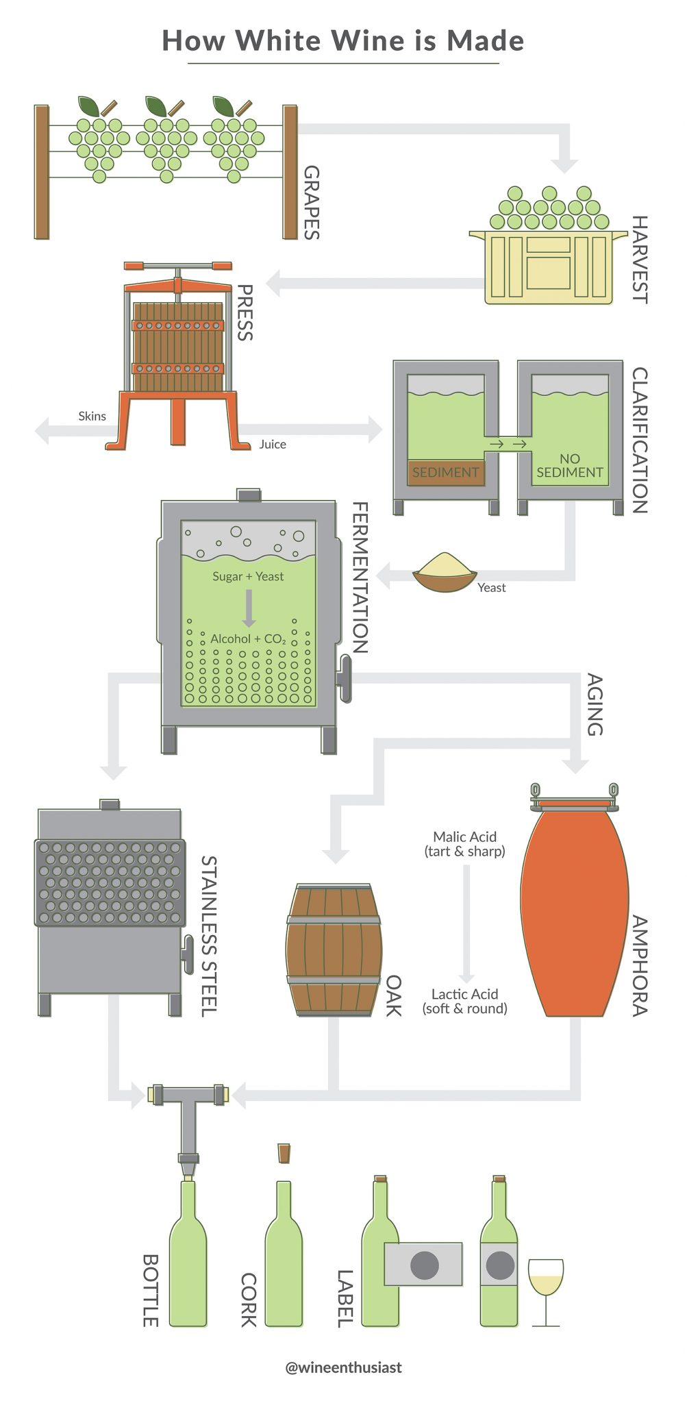 Il Ciclo Di Vita Di Una Bottiglia Di Vino Le Uve Arrivano In Cantina