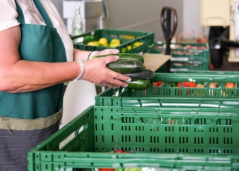 Lebensmittelspende Tafel: Ehrenamtliche Frau mit Handschuhen packt Obst und Gemüse wie frische Zucchini in grüne Kisten für die Verteilung an Bedürftige - selektiver Fokus