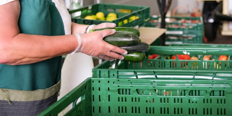 Lebensmittelspende Tafel: Ehrenamtliche Frau mit Handschuhen packt Obst und Gemüse wie frische Zucchini in grüne Kisten für die Verteilung an Bedürftige - selektiver Fokus