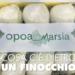 opoamarsia_schedaop.pdf